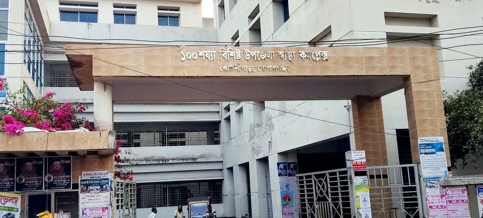 কোটালীপাড়ায় ভিমরুলের কামড়ে ৪ বছরের শিশুর মৃত্যু