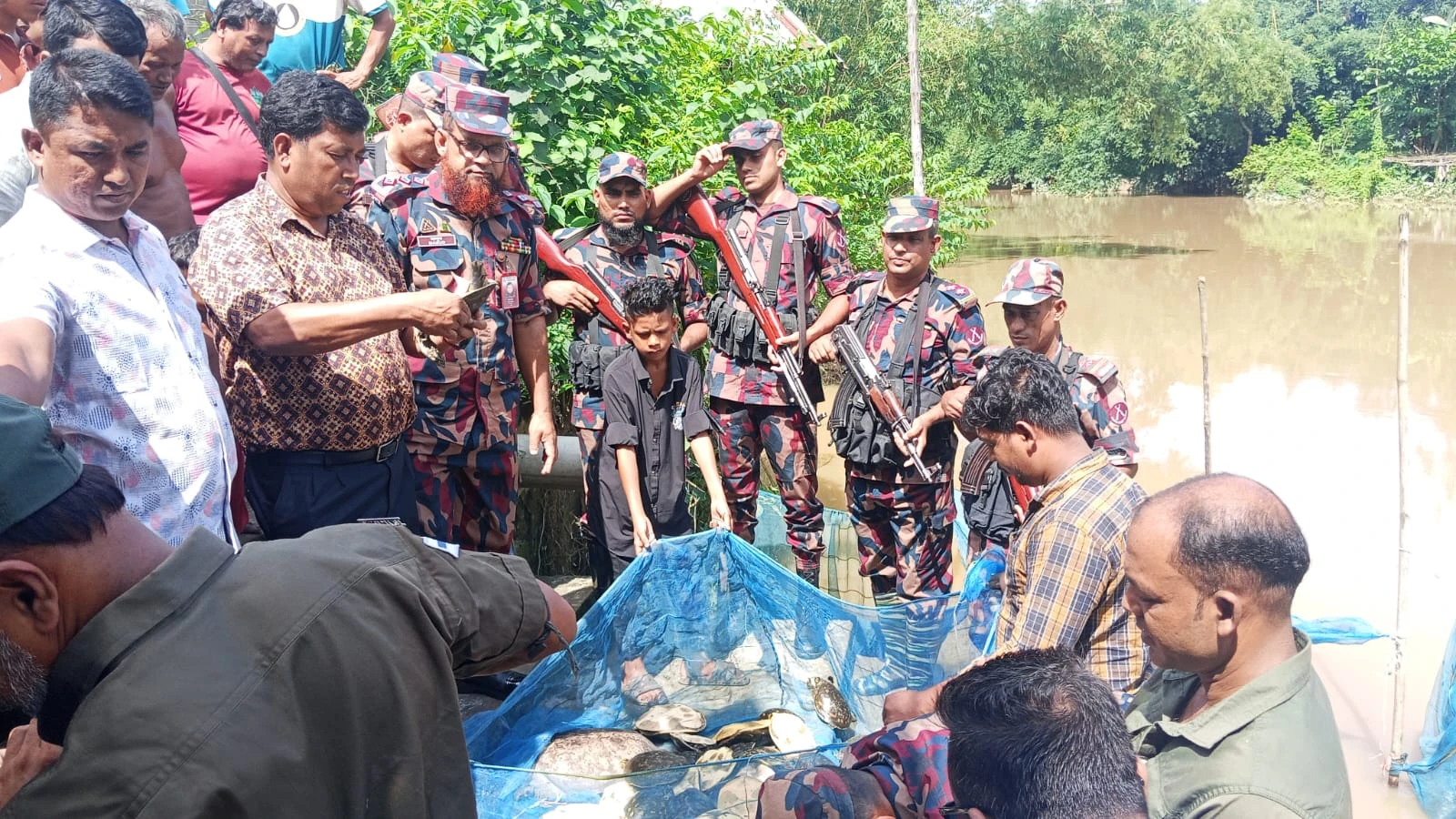 কসবা সীমান্তে বিজিবির অভিযানে ৬৫টি কচ্ছপ জব্দ, বন বিভাগের তত্ত্বাবধানে সালদানদীতে অবমুক্ত