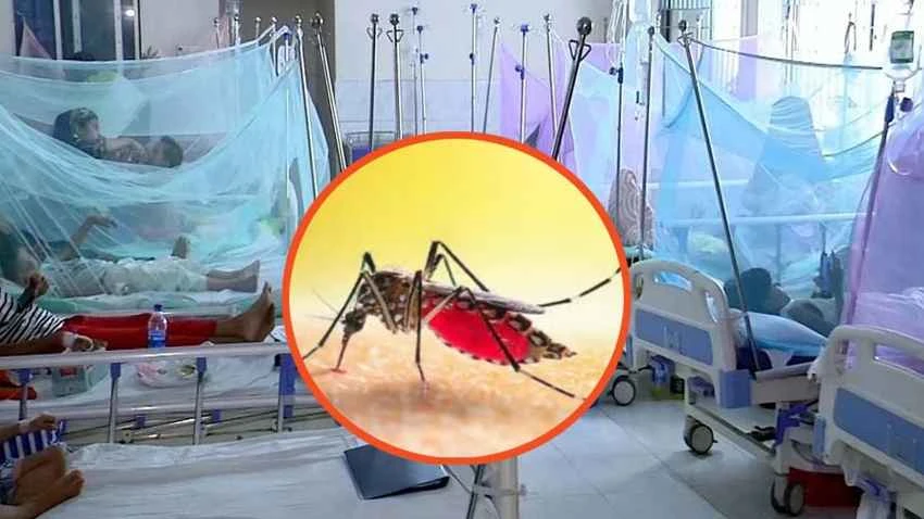 ডেঙ্গুতে একদিনে ৩ জনের মৃত্যু