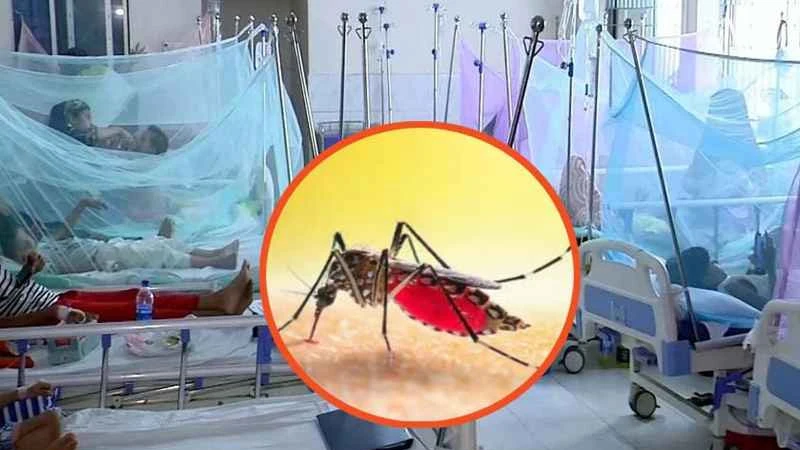 ডেঙ্গুতে একদিনে প্রাণ গেল ৫ জনের