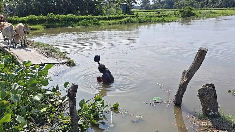 চর ঘাশিয়া গ্রামে পানিবন্দি মানুষের দুর্ভোগ, তিন বছরেও মেলেনি সমাধান