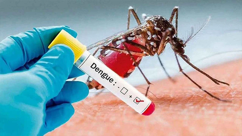 ২৪ ঘণ্টায় ডেঙ্গুতে আরও ২ মৃত্যু, হাসপাতালে ভর্তি ১০৫৬