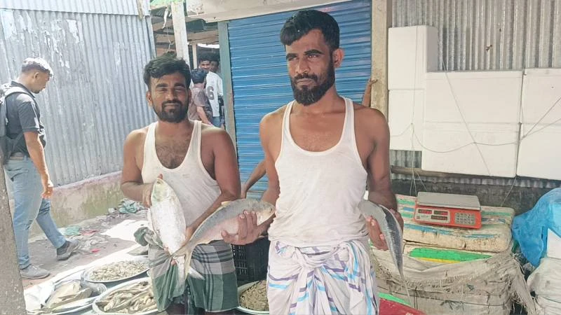 আড়াই মণ আলুর দামে এক কেজি ইলিশ