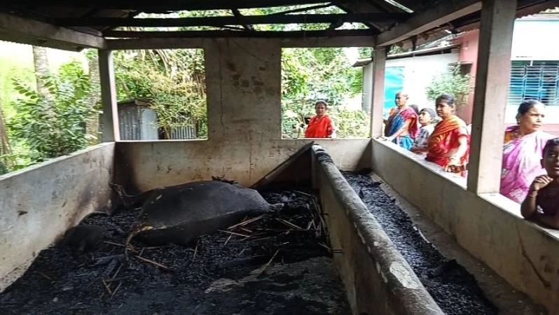 টুঙ্গিপাড়ায় আগুনে পুড়ে ছাই দিনমজুরের স্বপ্ন, ৫ গাভীসহ গোয়ালঘর ভস্মীভূত