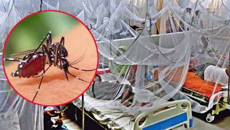 ডেঙ্গুতে প্রাণহানি ২০০ ছাড়াল