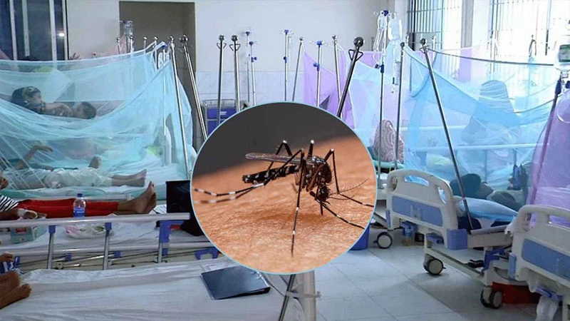 ডেঙ্গু জ্বরে সারাদেশে আরও ৬ জনের প্রাণহানি