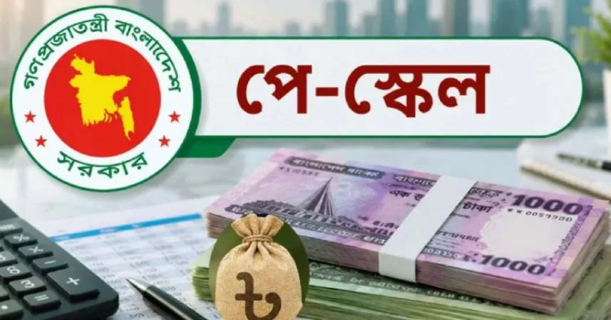 নতুন বেতনকাঠামোর পে ফিক্সেশন: তথ্য ভুল হলে সমস্যা