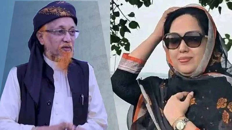 ‘বিএনপি মুনাফিকি করেছে’, কেন বললেন জমিয়ত নেতা জুনায়েদ?