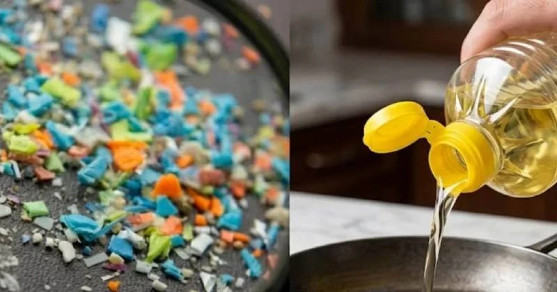 সয়াবিন তেলে মিলল মাইক্রোপ্লাস্টিক