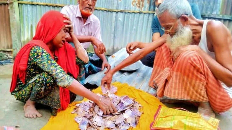 তিলে তিলে জমানো ২ লাখ টাকা উইপোকার পেটে, সর্বস্ব হারিয়ে দিশেহারা বৃদ্ধ দম্পতি