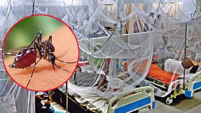 ডেঙ্গুতে মৃত্যুহীন দিনে নতুন আক্রান্ত ৫৫০