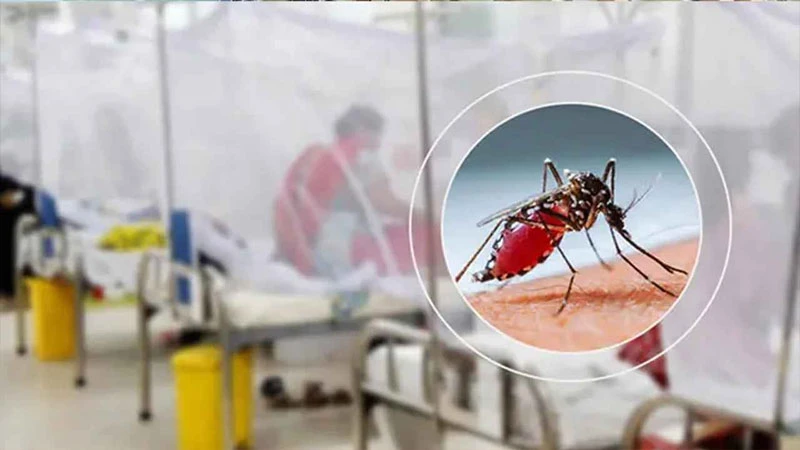 গত ২৪ ঘণ্টায় ডেঙ্গুতে নেই মৃত্যু, হাসপাতালে ভর্তি ৮৬৮