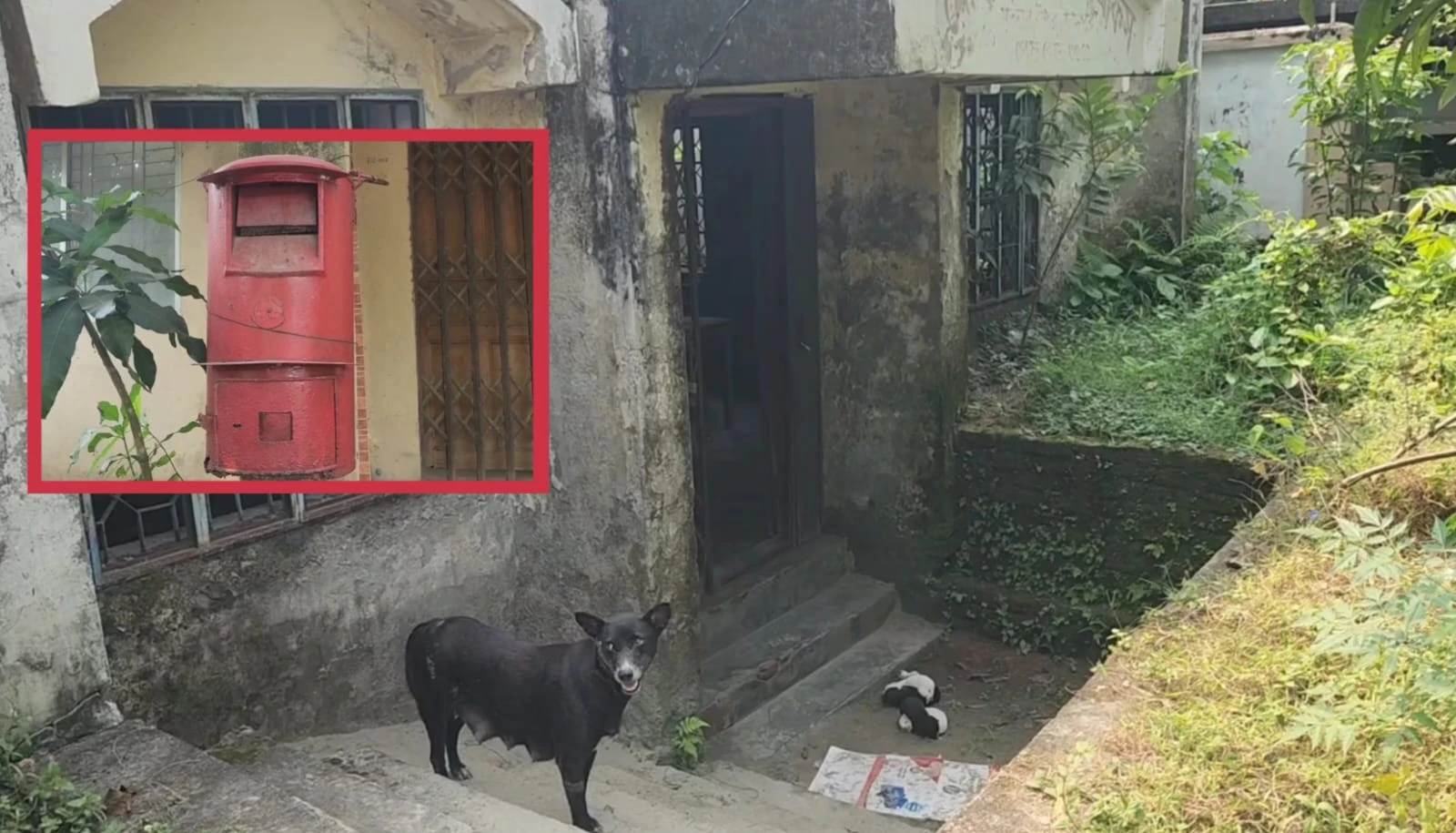 বিশ্ব ডাক দিবসে জরাজীর্ণ ডাকঘর, ঝুঁকি নিয়ে চলছে সেবা