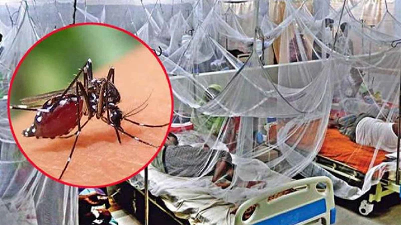 ডেঙ্গুতে আরও ৪ জনের মৃত্যু