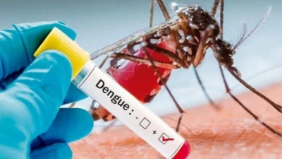 ডেঙ্গুতে আরও একজনের মৃত্যু, আক্রান্ত ১৮