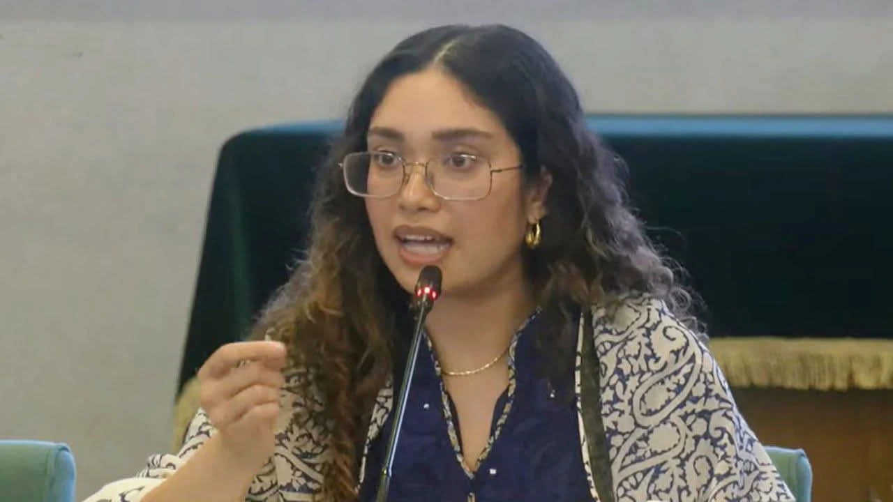 আমরা অন্যরকম একটা দেশ গড়তে চাই: জাইমা রহমান