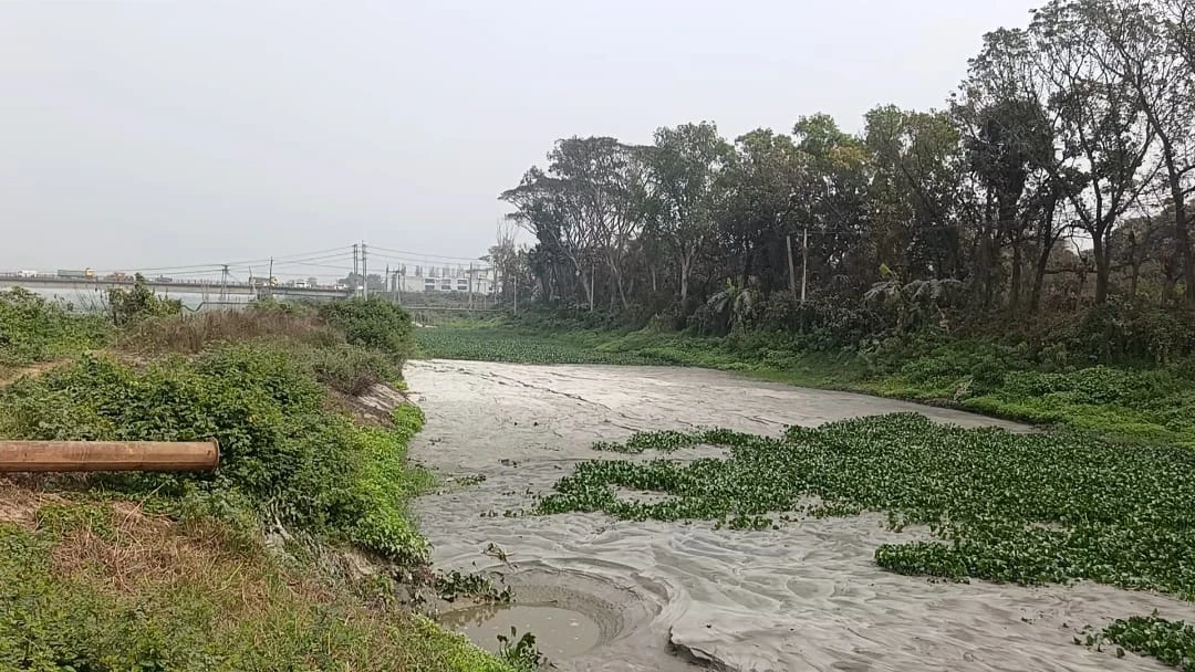 সোনারগাঁয়ে জমি দখলের অভিযোগ কনকর্ড রিভার ভিউ ফ্যাক্টরির বিরুদ্ধে, স্থানীয়দের ক্ষোভ