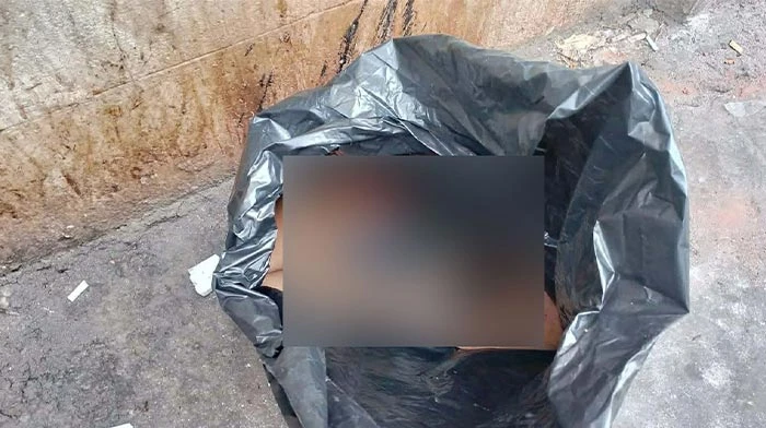 বায়তুল মোকাররমের পাশ থেকে কাটা হাত-পা উদ্ধার