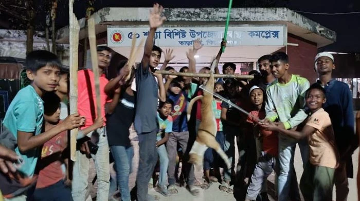 তাড়াইলে বেওয়ারিশ কুকুরের তাণ্ডব: একদিনে ১৭ জন আহত