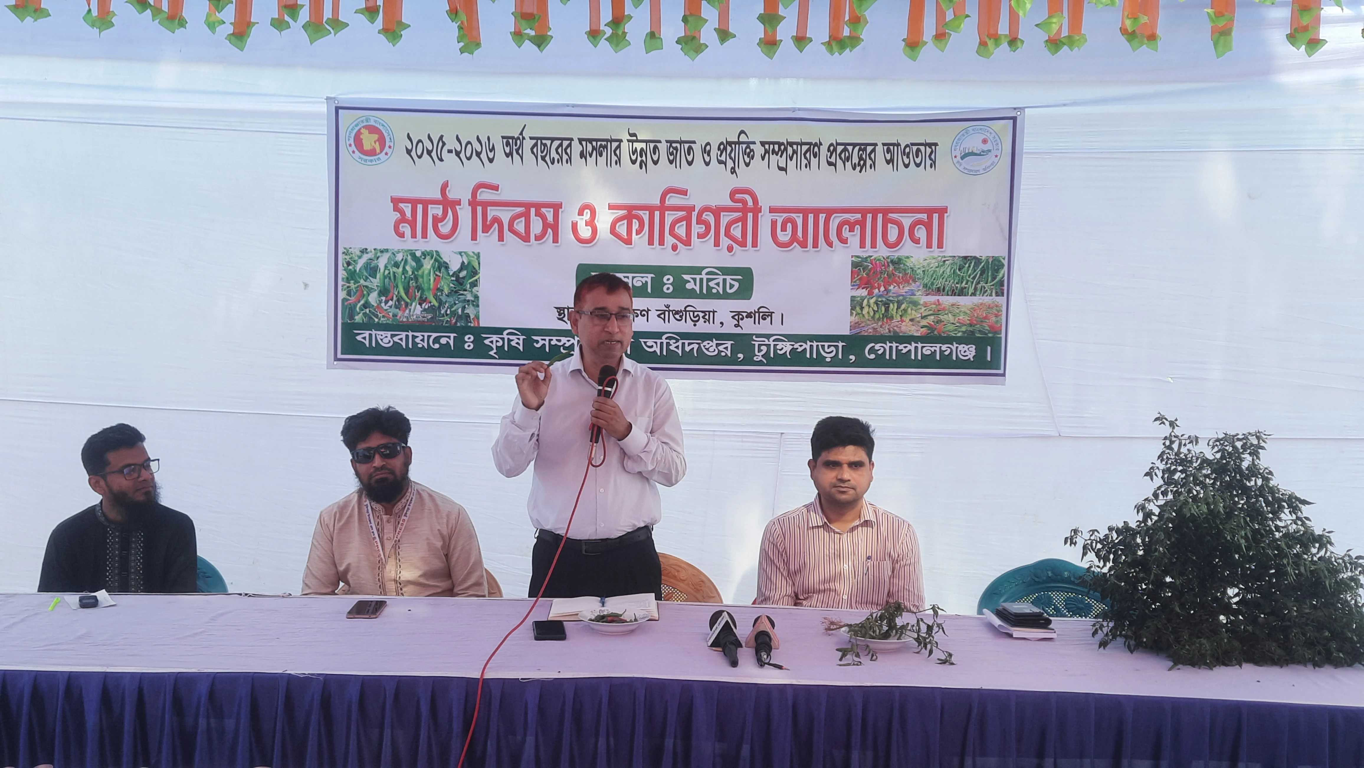 টুঙ্গিপাড়ায় আধুনিক প্রযুক্তিতে মরিচ চাষে বিপ্লব, আশাতীত ফলনে উচ্ছ্বসিত কৃষকরা