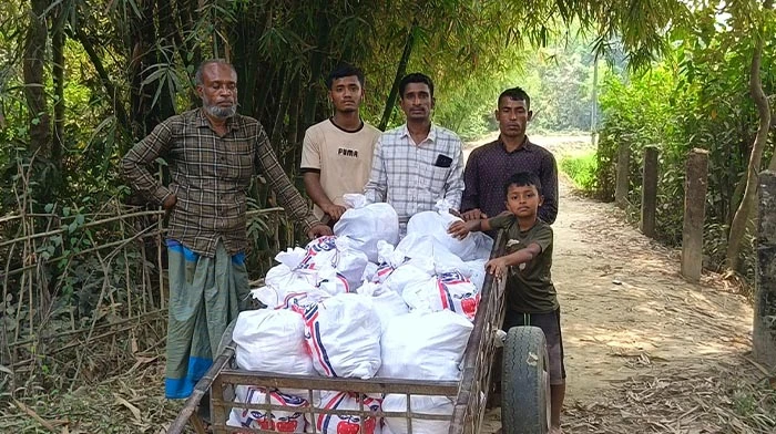 রমজানের দুপুরে নিভে গেল ছোট্ট প্রাণ:  কসবা নানা বাড়ির পুকুরেই ডুবে গেল ২ বছরের ছাফামনি
