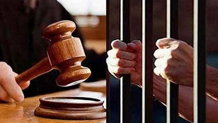 রাজধানীতে কুকুর হত্যার দায়ে ৩ জনের কারাদণ্ড