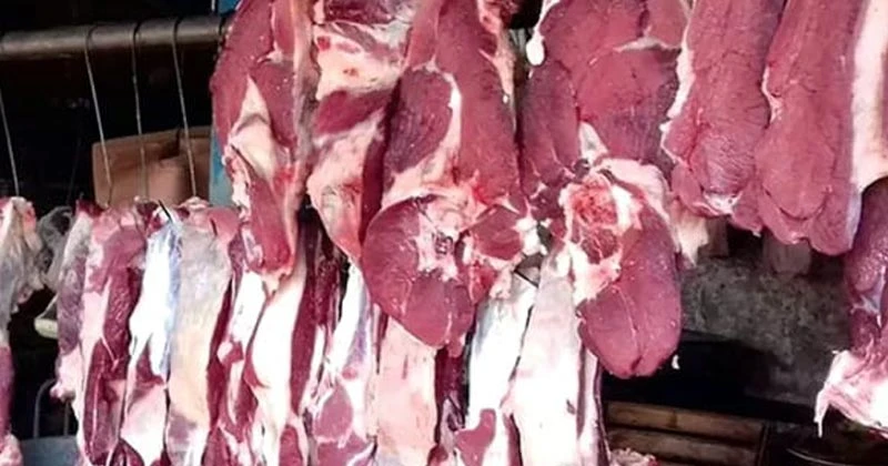 টঙ্গীবাড়ীতে নেই কোন পশু জবাইখানা, পরীক্ষা ছাড়াই চলছে পশু জবাই ও মাংস বিক্রি