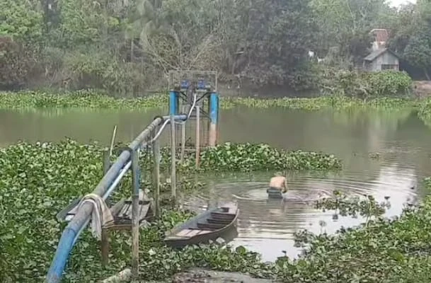 টুঙ্গিপাড়ায় পানিবাহিত রোগ প্রতিরোধে ব্যাপক ভূমিকা রাখছে সার্ফেস ওয়াটার ট্রিটমেন্ট প্লান্ট