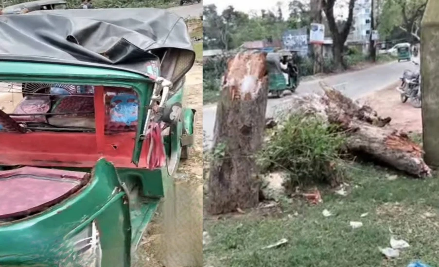 বড়লেখায় চলন্ত সিএনজির ওপর গাছ ভেঙে পড়ে নারীর মৃত্যু, আহত ২