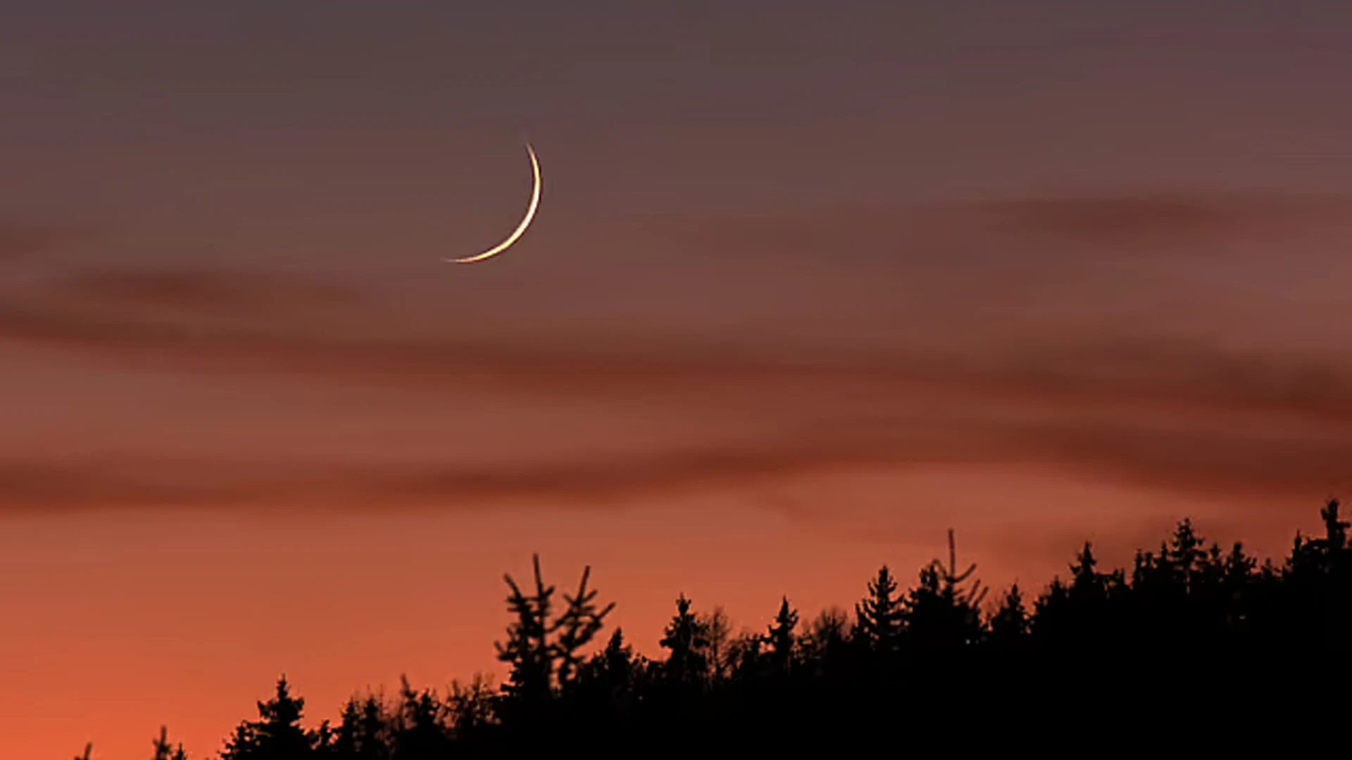 চাঁদ দেখা যায়নি, ঈদুল ফিতর শনিবার