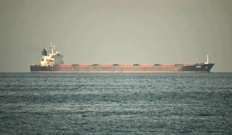 ইরানের অবরোধ ভেঙে হরমুজ প্রণালি সচল করতে একজোট ২২ দেশ