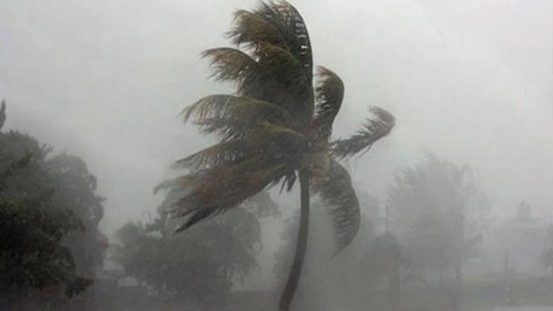 রাতের মধ্যে যেসব জেলায় ৬০ কিমি বেগে ঝড়ের শঙ্কা