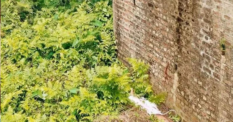 মাগুরছড়ায় রেলসেতুর নিচে যুবকের মরদেহ উদ্ধার, পরিচয় শনাক্ত