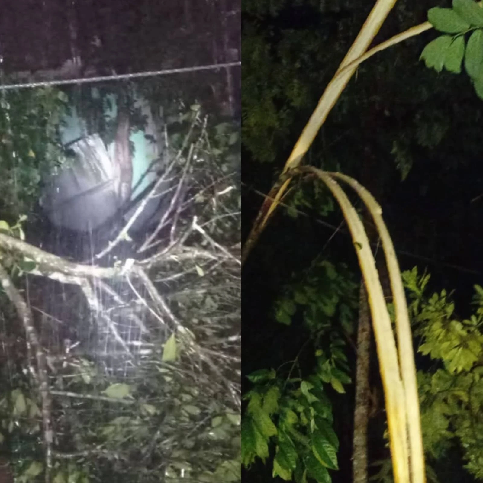 মতলব উত্তরে কালবৈশাখীর তাণ্ডব, লণ্ডভণ্ড বিভিন্ন এলাকা—বিদ্যুৎ বিচ্ছিন্ন