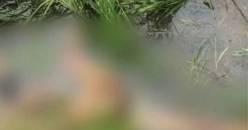 বগুড়ার সোনাতলায় লোহাগাড়া নদী থেকে অজ্ঞাত নারীর অর্ধগলিত লাশ উদ্ধার