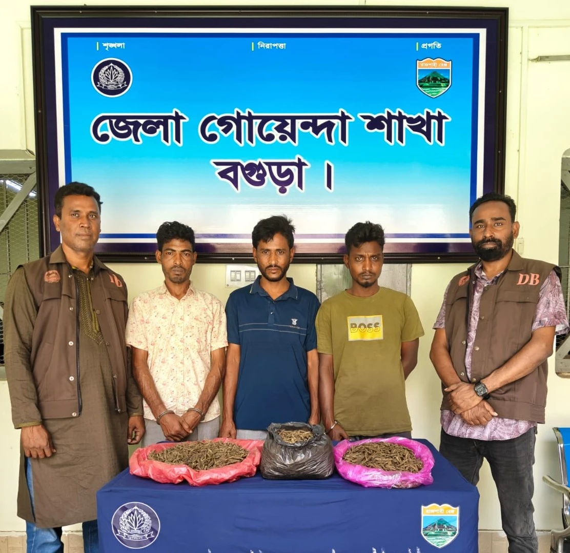 বগুড়ায় ডিবির মাদকবিরোধী অভিযান: ৩ কেজি গাঁজাসহ ৩ জন গ্রেফতার