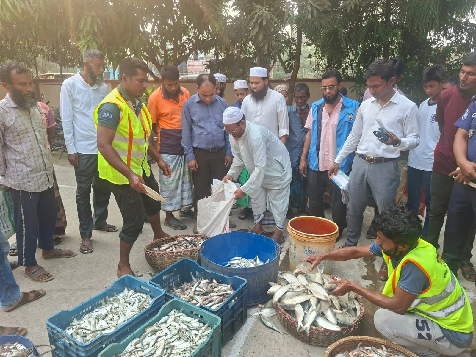 মতলব উত্তরে অভিযানে ৮০০ কেজি জাটকা ও পোনা মাছ জব্দ, দুস্থদের মাঝে বিতরণ