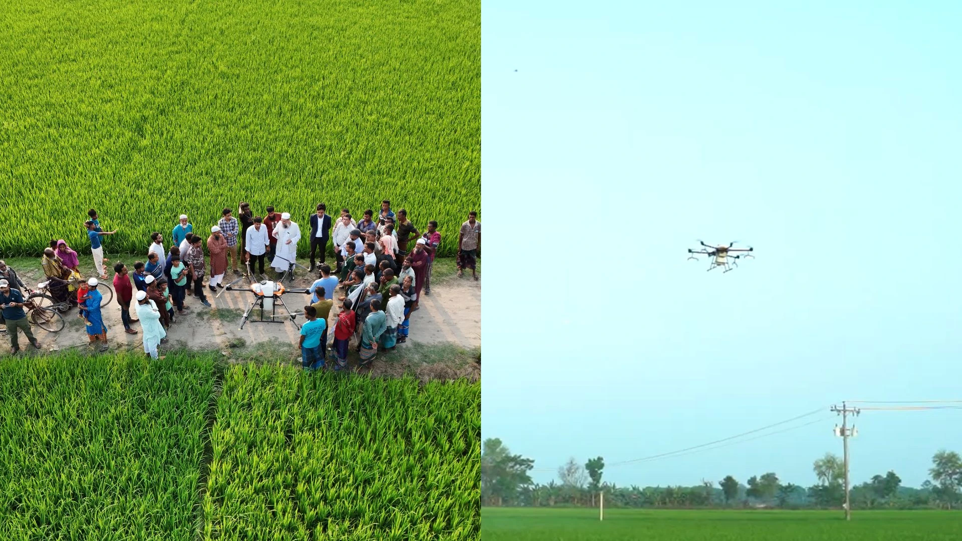 উইগ্রো বারি-সবুজ ড্রোন: কৃষিতে নতুন যুগের সূচনা