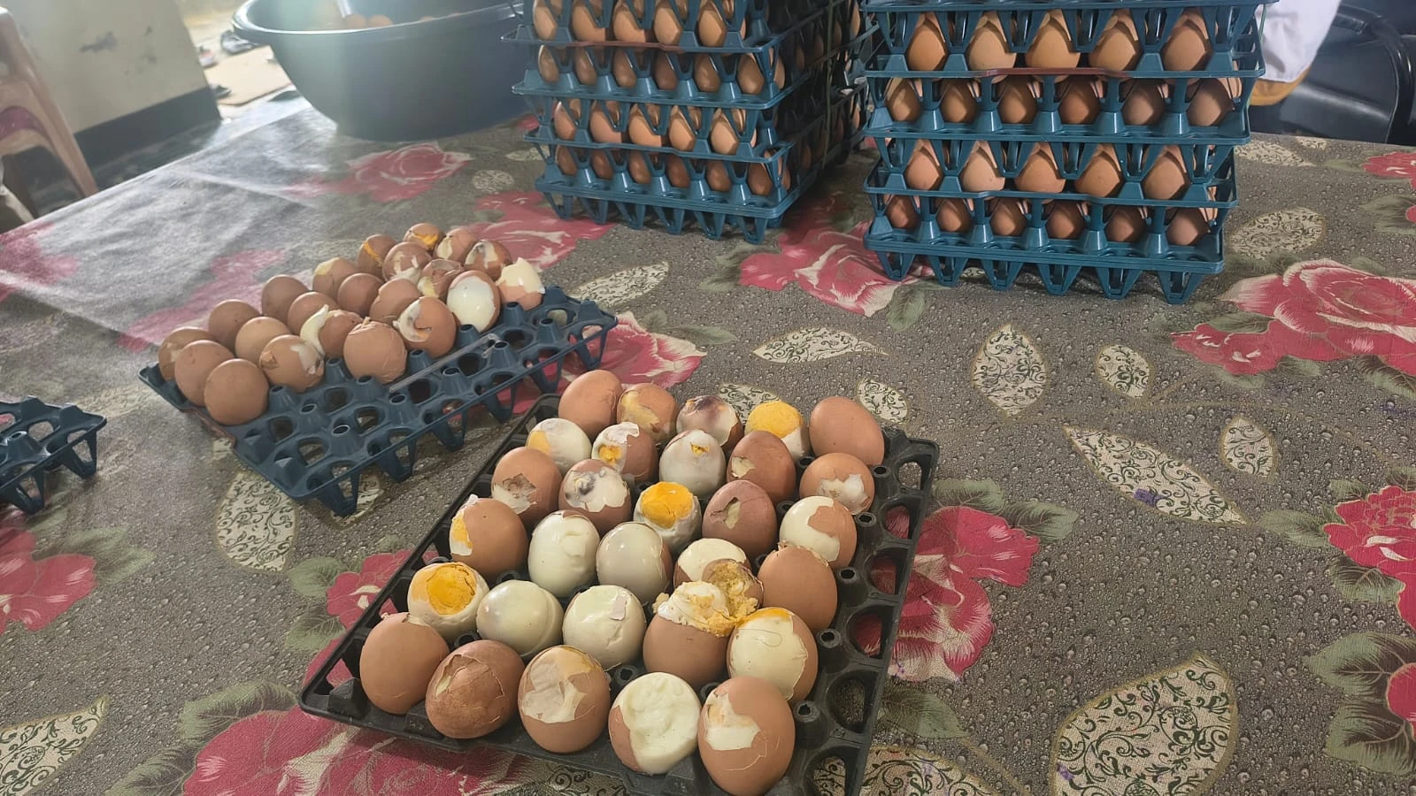 মতলব উত্তরে মিড-ডে মিলে পচা ডিম, ক্ষোভে অভিভাবকরা