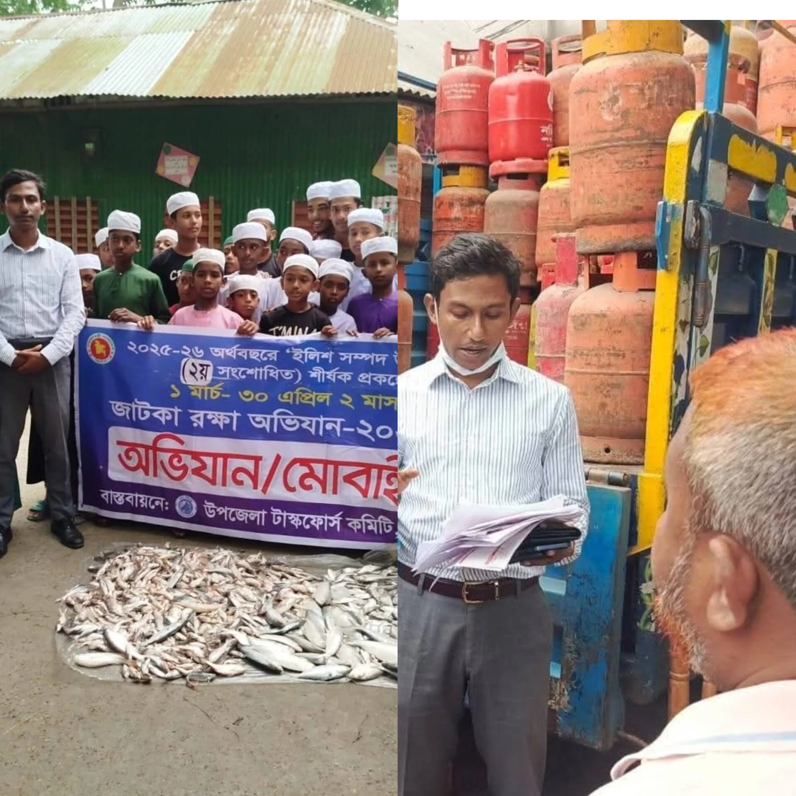 মতলব উত্তরে জাটকা বিক্রয় বন্ধে অভিযান, এলপিজি সিলিন্ডার মজুদের দায়ে জরিমানা
