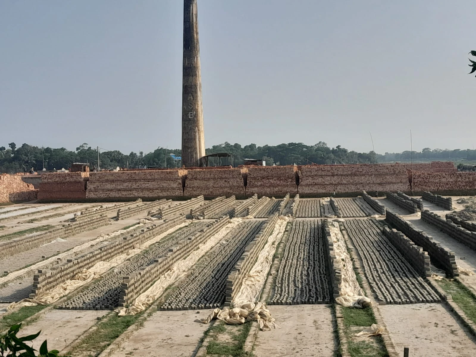 মতলব উত্তরে অবৈধ ইটভাটার দৌরাত্ম্য, বাড়ছে পরিবেশ ঝুঁকি
