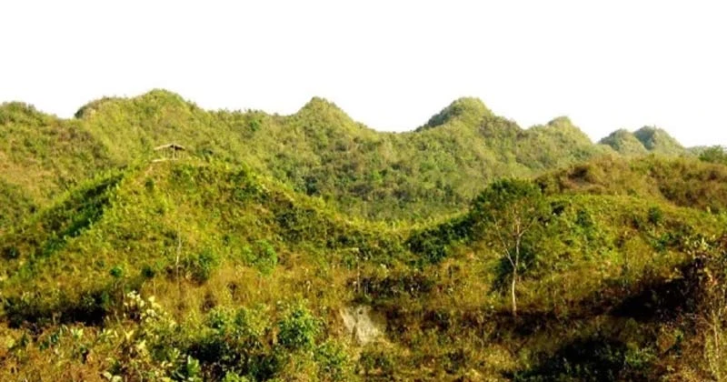 টেকনাফে পাহাড়ি জঙ্গলে তিন যুবকের লাশ উদ্ধার, অভ্যন্তরীণ দ্বন্দ্বের আশঙ্কা