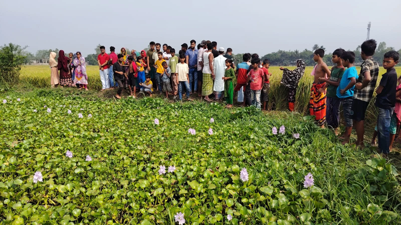 ভৈরবে ৭ মাসের শিশুকে হত্যা করলো পিতা, অভিযোগ স্ত্রীর