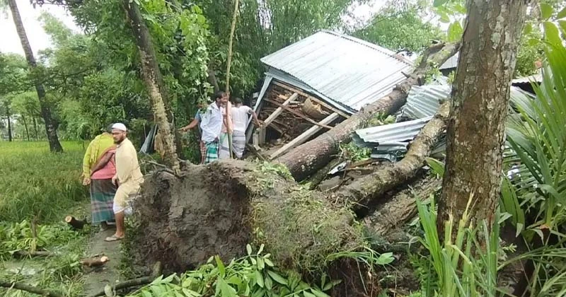 জামালপুরে কালবৈশাখী ঝড়ে গাছ চাপায় মা ও দুই মেয়ের মৃত্যু