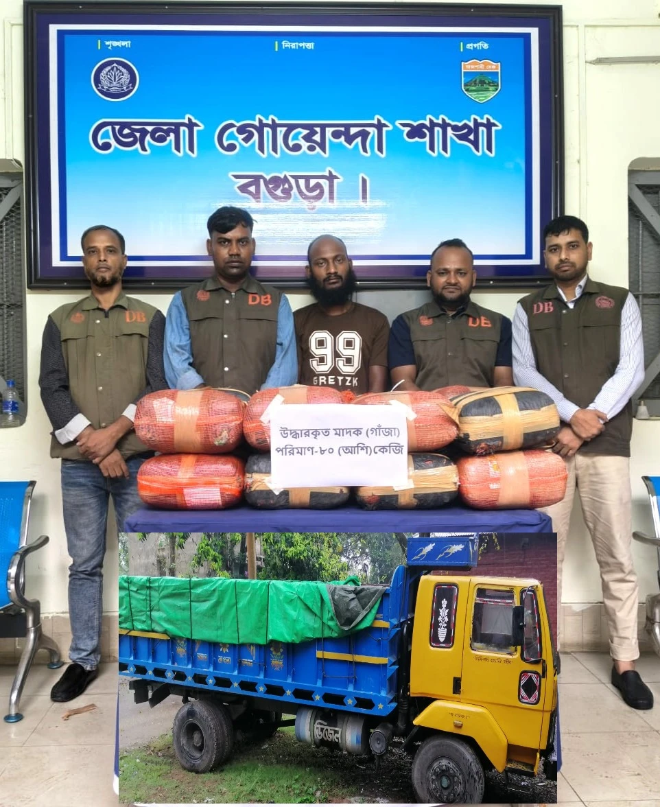 বগুড়ায় ডিবির অভিযানে ৮০ কেজি গাঁজা উদ্ধার, ট্রাকসহ আটক ১