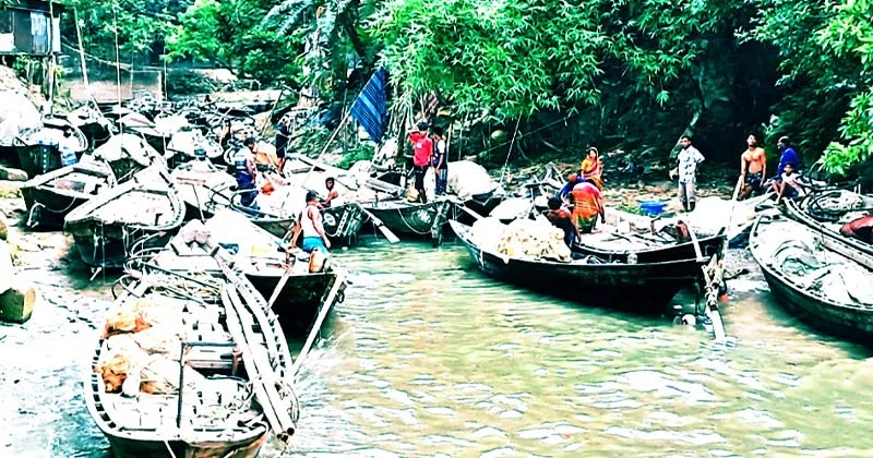 চাঁদপুরে মাছ শিকারে নিষেধাজ্ঞা উঠছে আজ মধ্য রাত থেকে