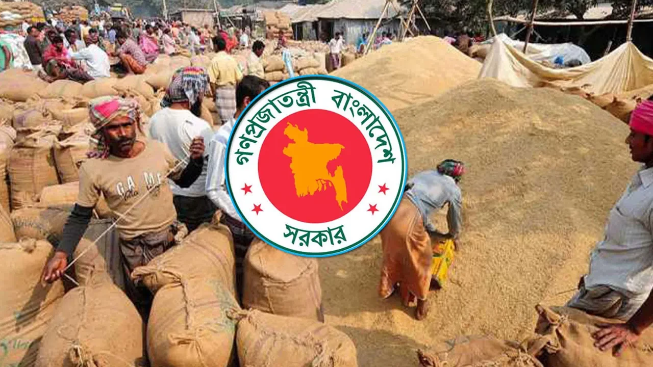 ৩ মে থেকে হাওর অঞ্চলের ধান-চাল সংগ্রহ শুরু করবে সরকার