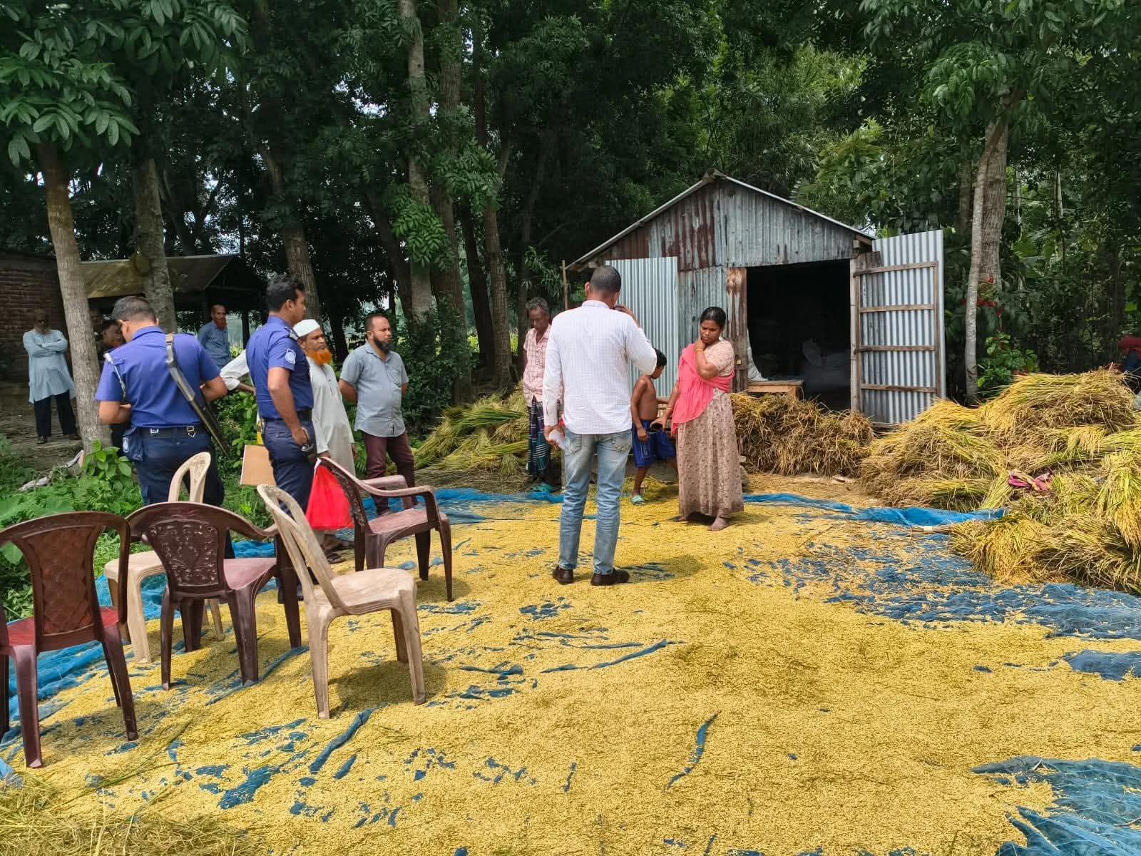 দেলদুয়ারে জমি জবরদখলের চেষ্টা, পাকা ধান কেটে নেওয়ার অভিযোগ