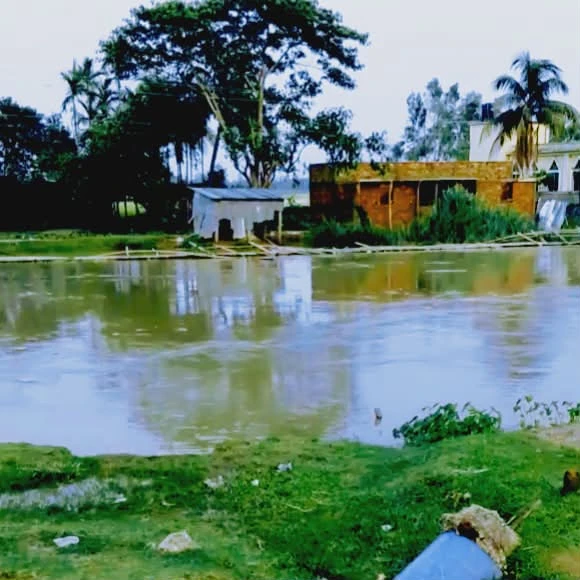 বাহুবলে বন্যার পানিতে ভেসে গেল বাঁশের সাঁকো, চরম ভোগান্তিতে হাজারো মানুষ