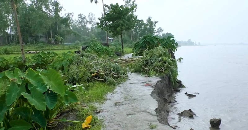 গঙ্গাধর নদীর ভাঙনে মানচিত্র থেকে হারাচ্ছে নারায়নপুরের চৌদ্দঘুড়ি ও বালারহাট গ্রাম